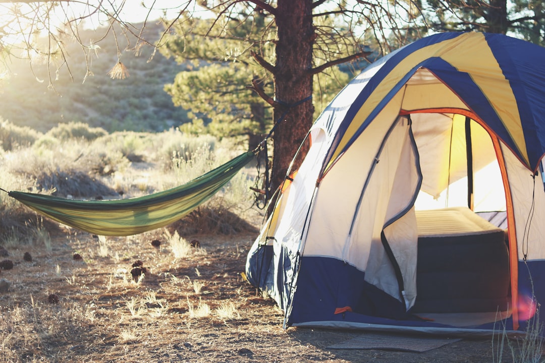 Gear Up for Adventure: Your Ultimate Camping Companion Awaits!