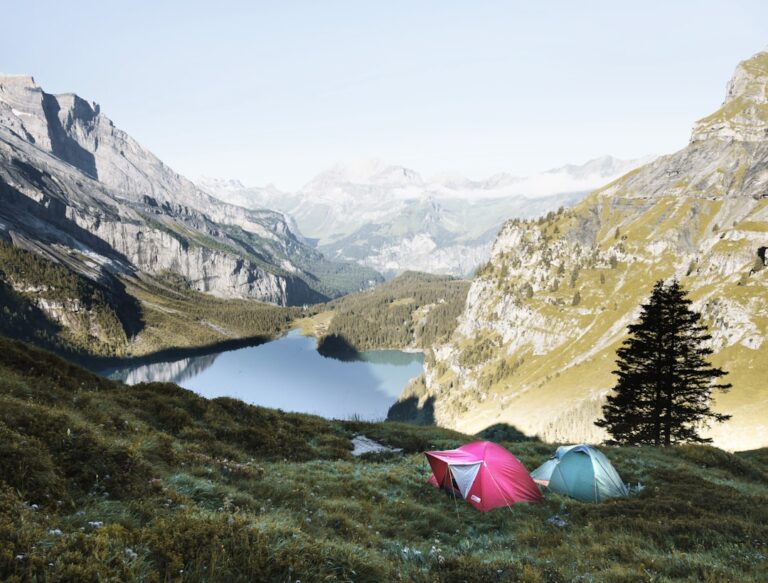 How to Choose the Best Tent for Your Camping Needs