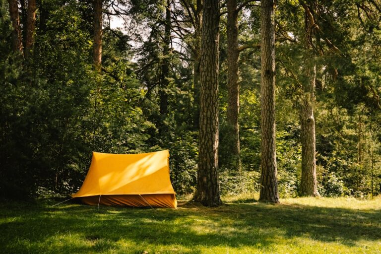 The Ultimate Guide to Camping Gear for Beginners